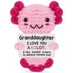 Axolotl Crochet Plush with Personalized Message Card