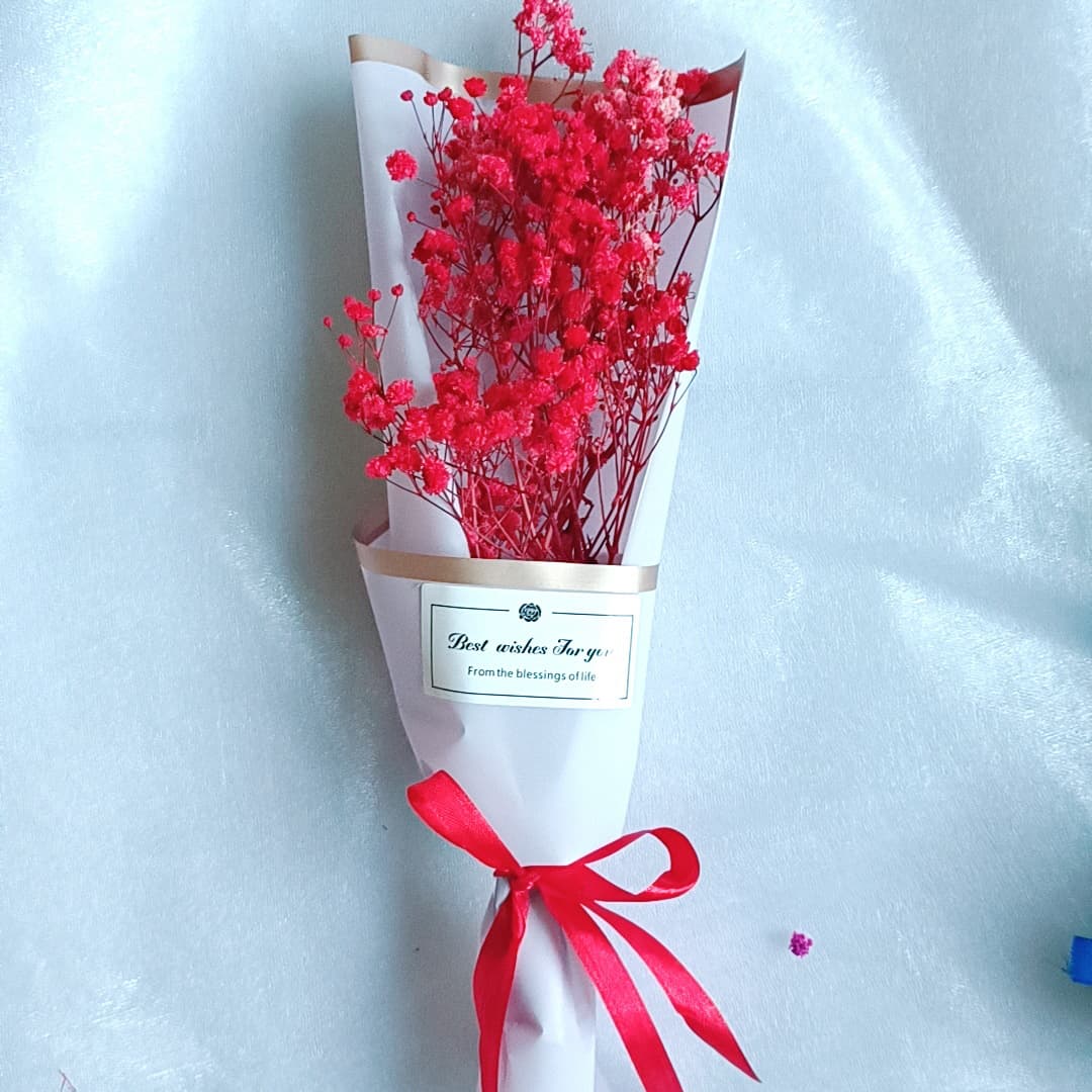 Charming dried Baby's Breath flower bouquet with delicate blossoms, a perfect gift for special occasions or home decoration.