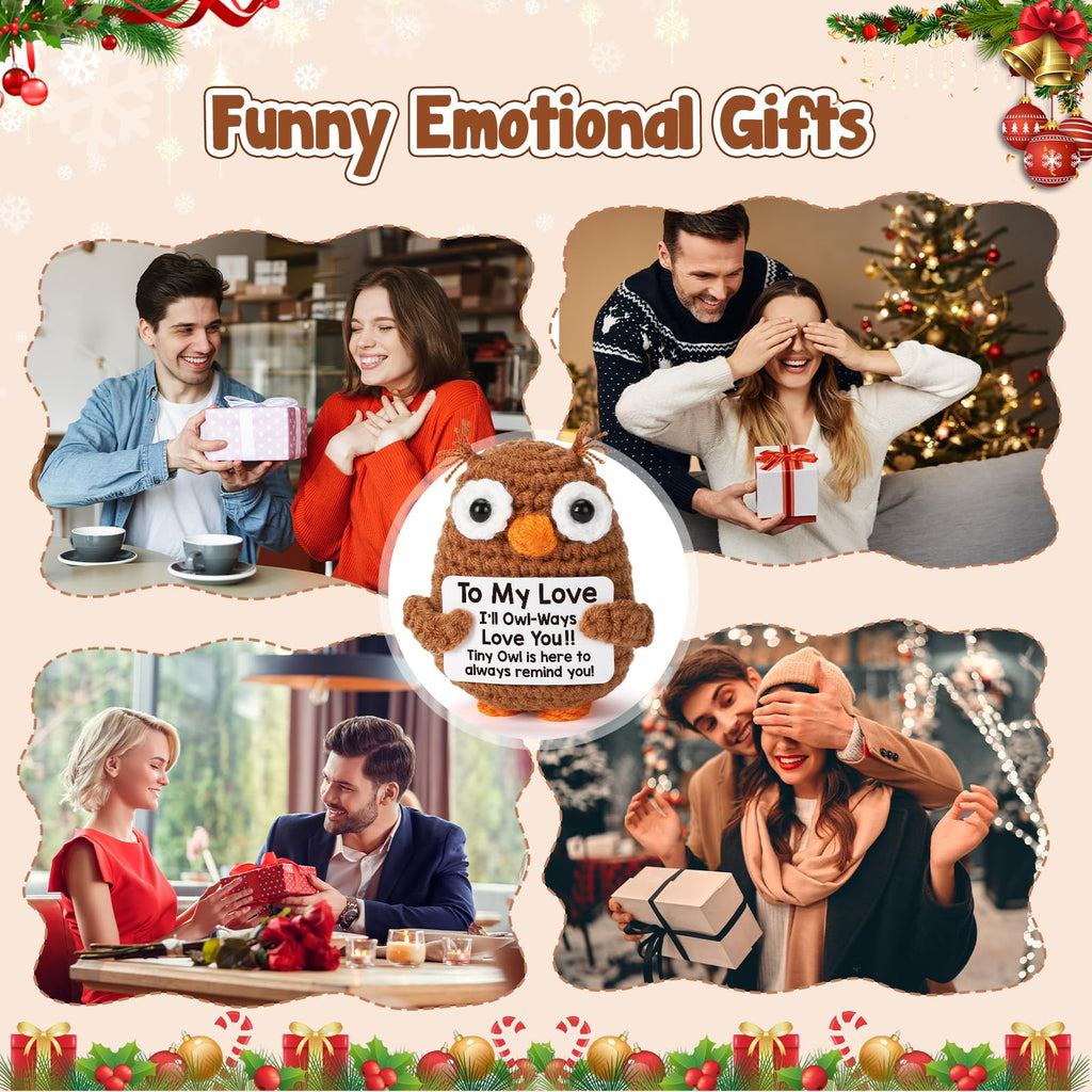 Funny emotional owl gift for Christmas and romantic occasions